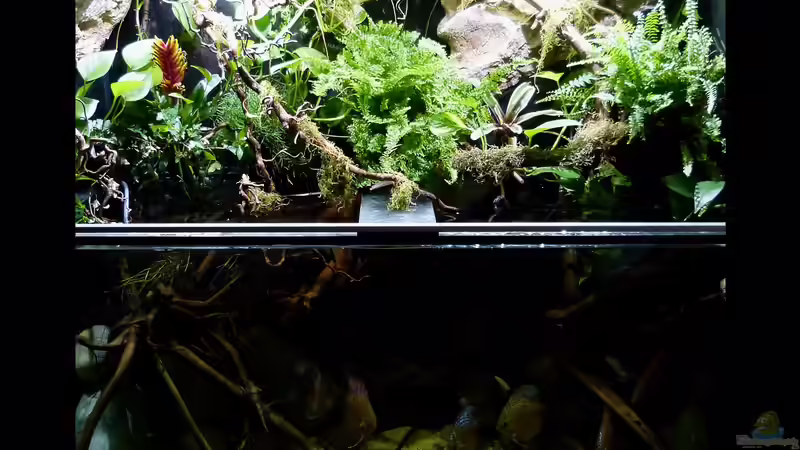 Gesamtansicht 17.09.15 von ~Marco~ (26)