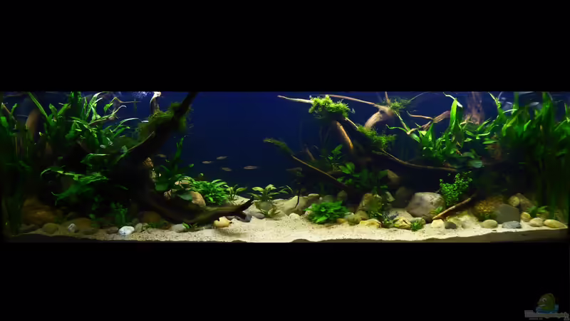 Gesamtansicht 17.09.2018 von ~Marco~ (6)