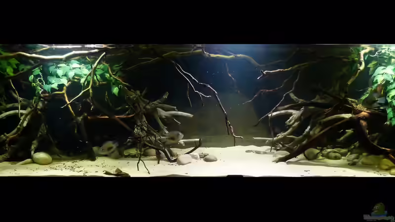 Gesamtansicht 18.01.15 von ~Marco~ (10)