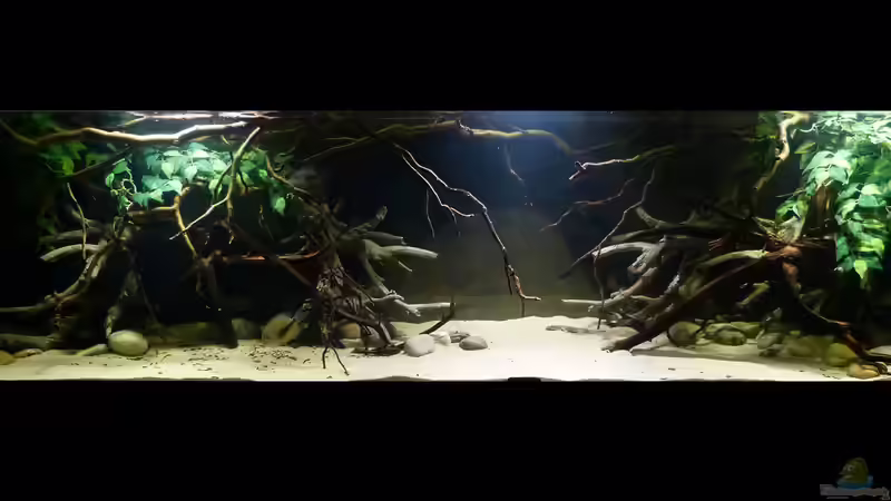 Gesamtansicht 18.01.15 von ~Marco~ (11)