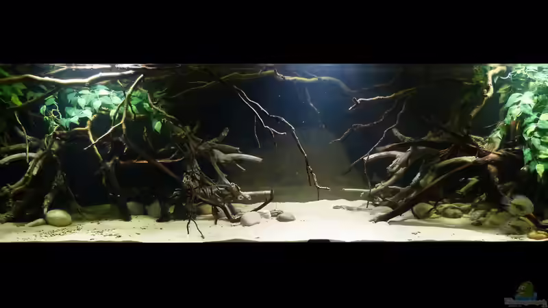 Gesamtansicht 18.01.15 von ~Marco~ (13)