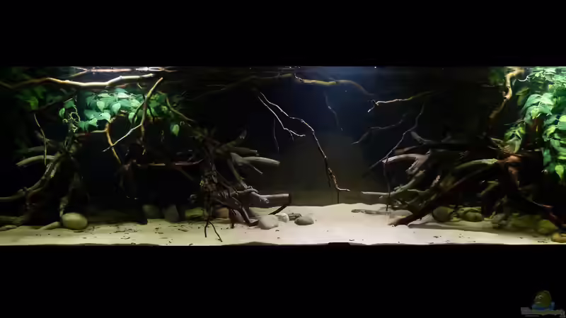 Gesamtansicht 18.01.15 von ~Marco~ (15)