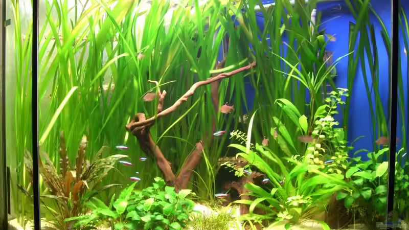 Gesamtansicht 18.03.11