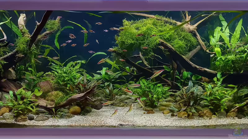 Gesamtansicht 18.04.2019 von ~Marco~ (13)