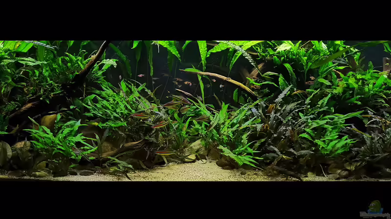 Gesamtansicht 18.04.2020 von ~Marco~ (17)