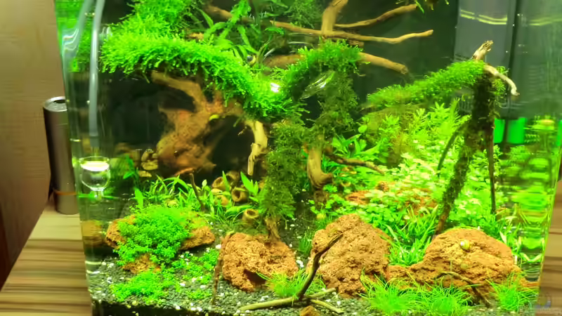 Gesamtansicht (18.09.12) von Walde (13)