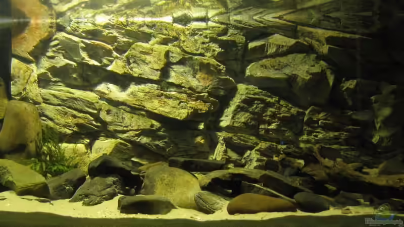 Gesamtansicht 19.02.2010