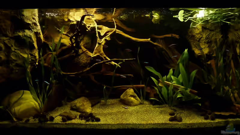 Gesamtansicht 19.03.13 von ~Marco~ (6)