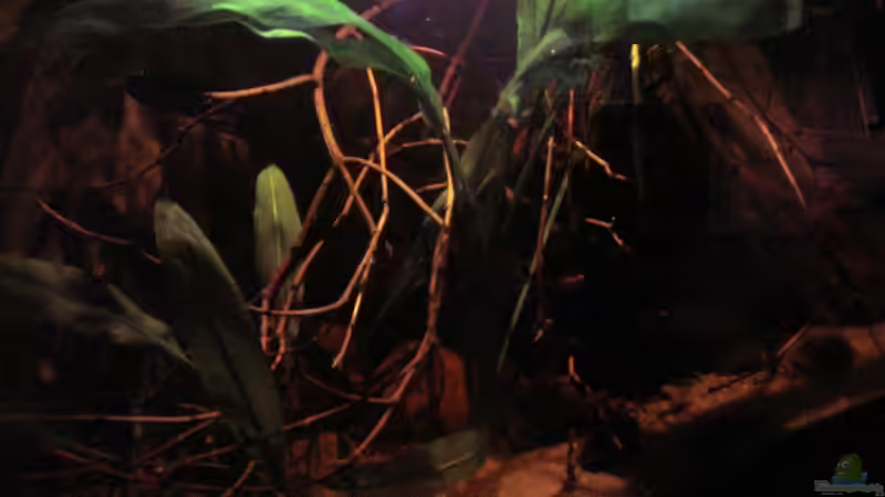 Gesamtansicht_19.04.2014_2_ von Südamerikafreak BK (4)