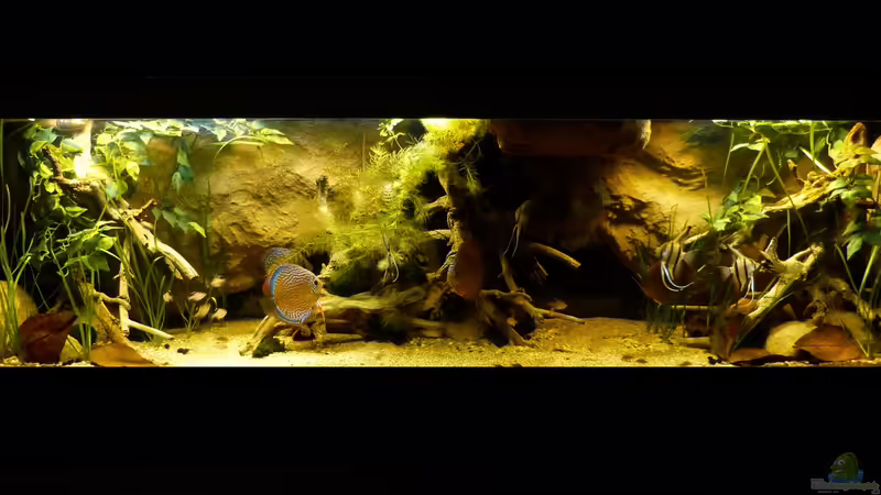 Gesamtansicht 19.04.2014 von ~Marco~ (21)