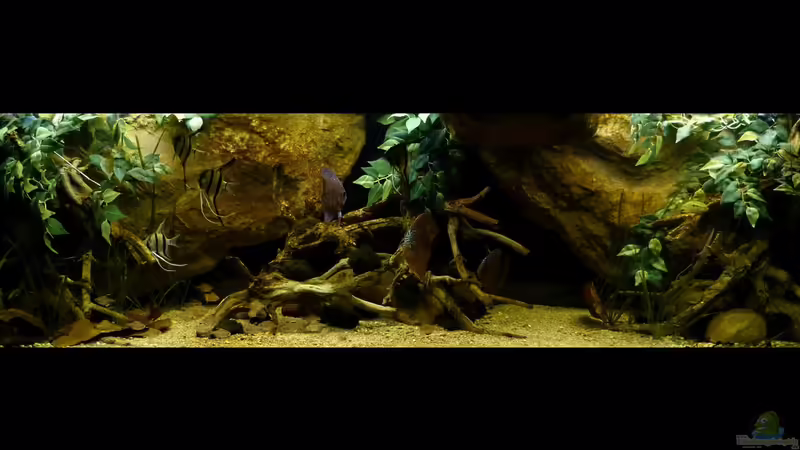 Gesamtansicht 19.06.14 von ~Marco~ (22)