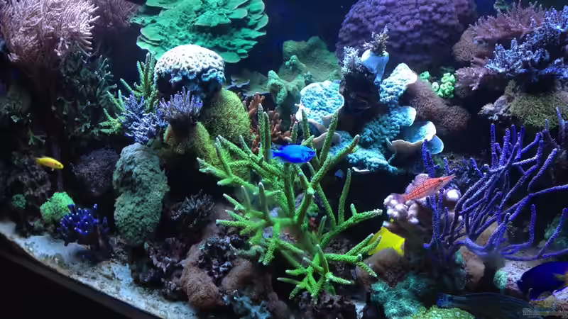 Gesamtansicht 2  -  Januar 16 von Frank Haipeter (11)