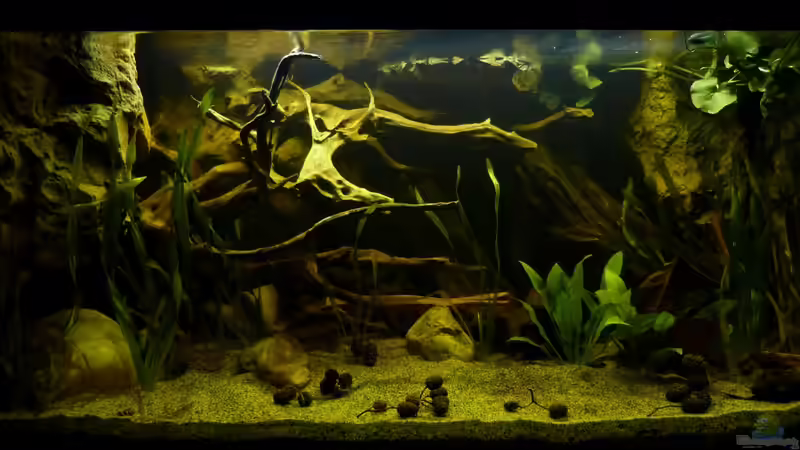 Gesamtansicht 20.02.13 von ~Marco~ (9)