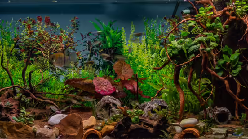 Gesamtansicht 2018-12 von Herr Lampe (14)