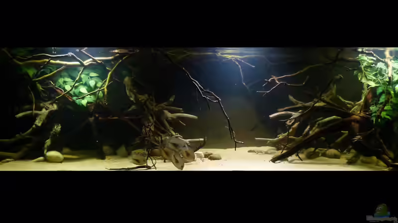 Gesamtansicht 22.01.15 von ~Marco~ (18)