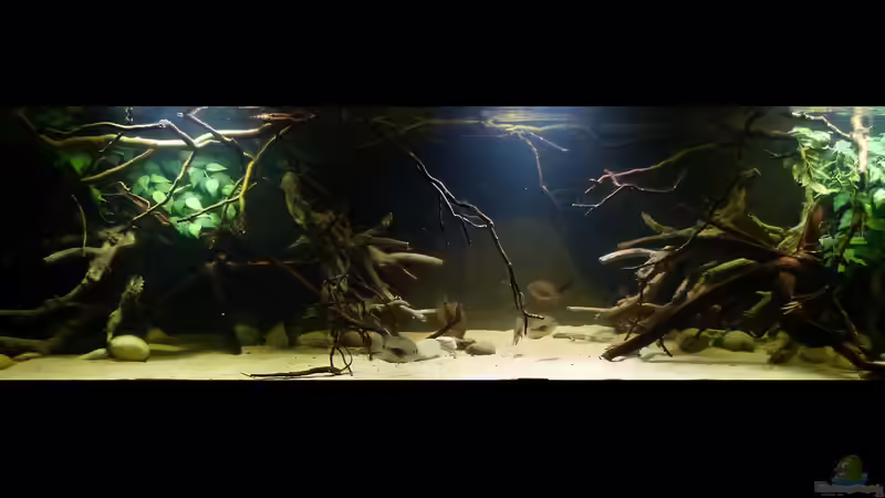 Gesamtansicht 22.01.15 von ~Marco~ (19)