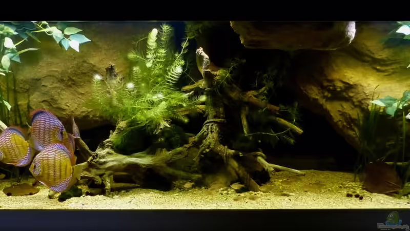 Gesamtansicht 22.03.14 von ~Marco~ (13)