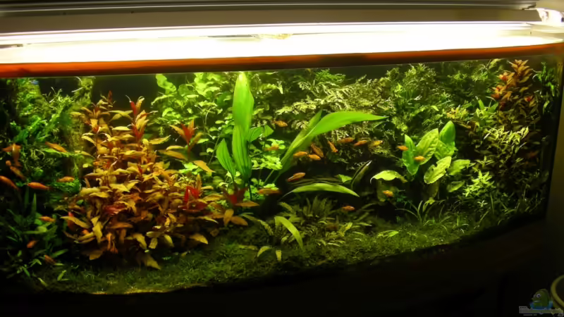 Gesamtansicht 22.05.08 von Stinnes (1)