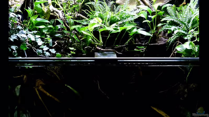 Gesamtansicht 22.11.15 von ~Marco~ (27)