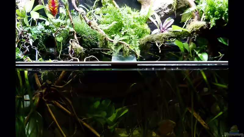 Gesamtansicht 23.08.15 von ~Marco~ (21)