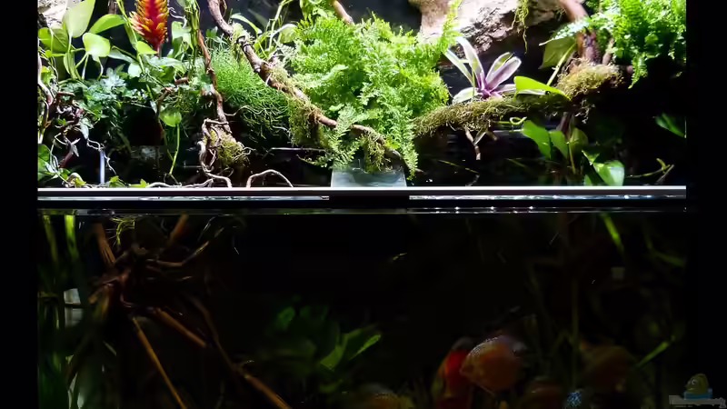 Gesamtansicht 23.08.15 von ~Marco~ (22)