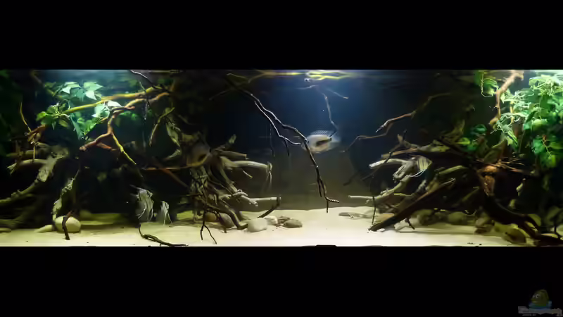 Gesamtansicht 24.01.15 von ~Marco~ (20)