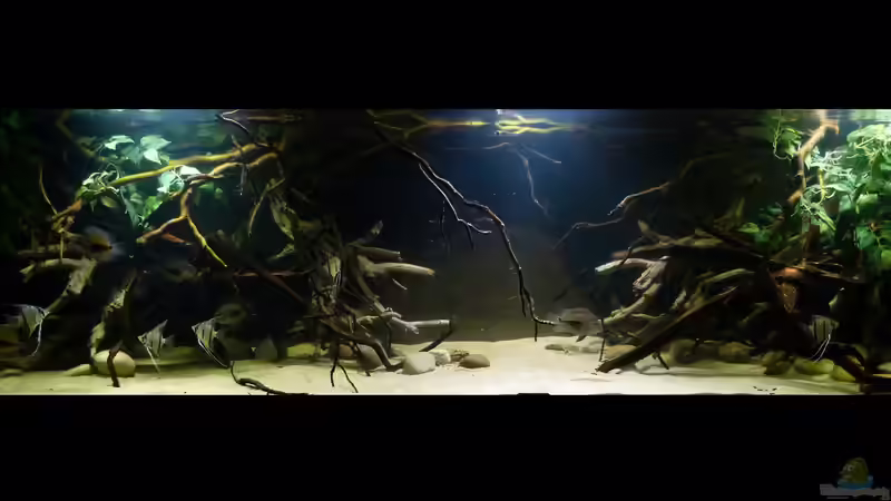 Gesamtansicht 24.01.15 von ~Marco~ (21)