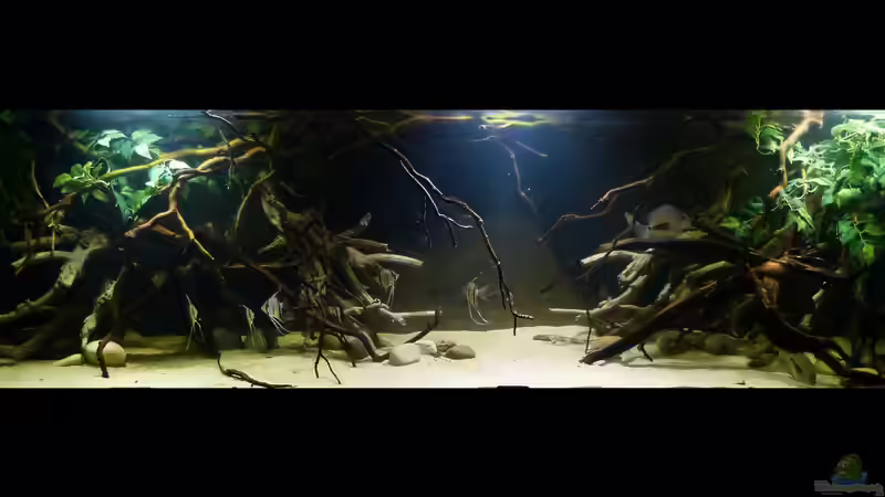 Gesamtansicht 24.01.15 von ~Marco~ (23)