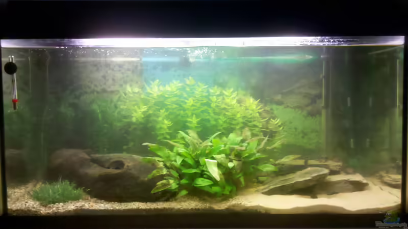 Gesamtansicht 24.01.2013 von De Millo (5)