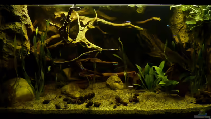 Gesamtansicht 24.02.13 von ~Marco~ (8)