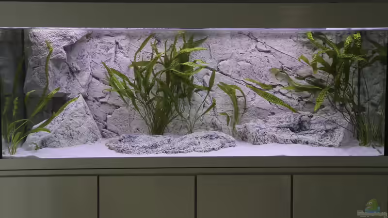 Gesamtansicht 24.06.2013 von NicoD (7)