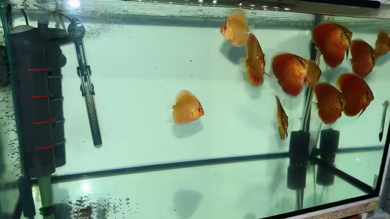 Gesamtansicht 25.01.15 von ~Marco~ (2)