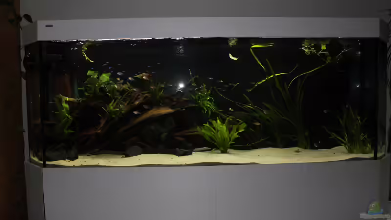 Gesamtansicht 27.04.18 (mit Blitz, so kommt die wirkliche Helligkeit im Becken am von Tim E. (4)