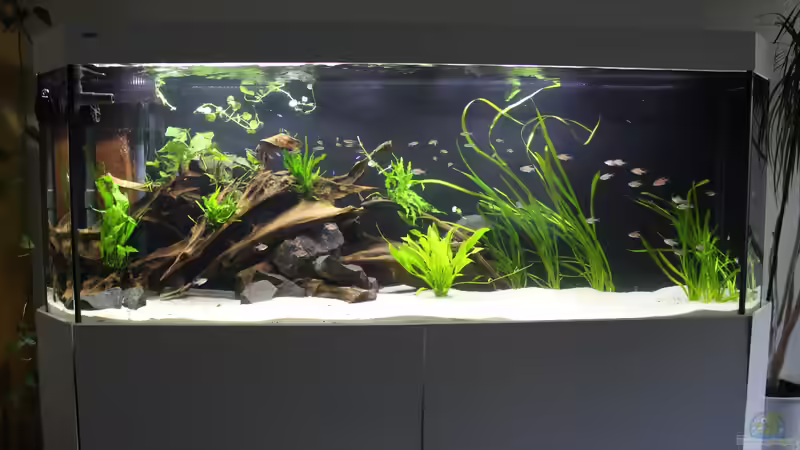 Gesamtansicht 27.04.18 von Tim E. (3)