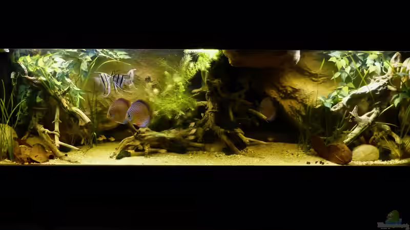 Gesamtansicht 28.03.2014 von ~Marco~ (14)