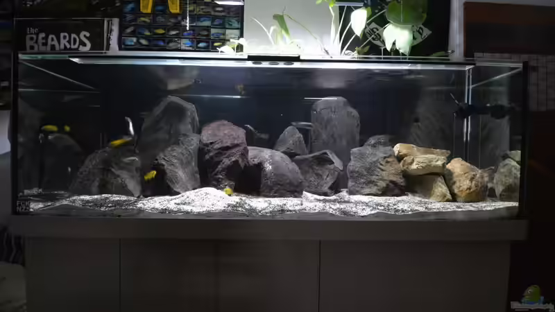 Gesamtansicht 28.6.16 von Leonard Georg (2)