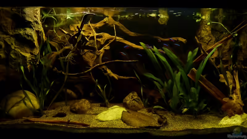 Gesamtansicht 29.04.13 von ~Marco~ (5)