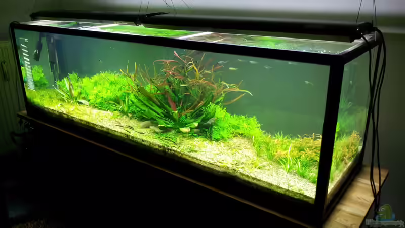 Gesamtansicht 2m akva stabil