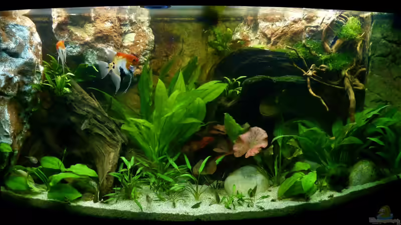 Gesamtansicht 30.12.12 von nokoeh (9)