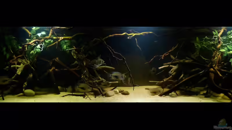 Gesamtansicht 31.01.15 von ~Marco~ (24)