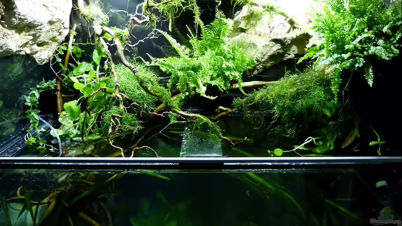 Gesamtansicht 31.07.15 von ~Marco~ (3)