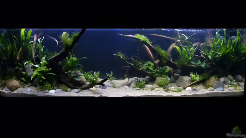 Gesamtansicht 31.08.2018 von ~Marco~ (4)