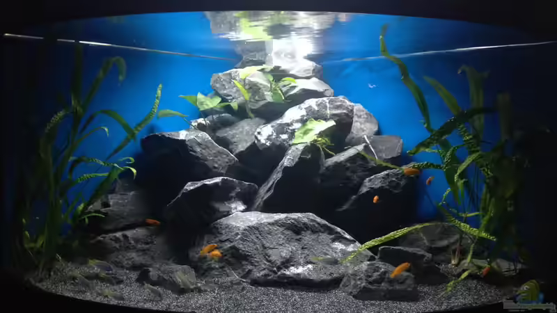 Gesamtansicht 6.2.14 von Bodenseechris (1)