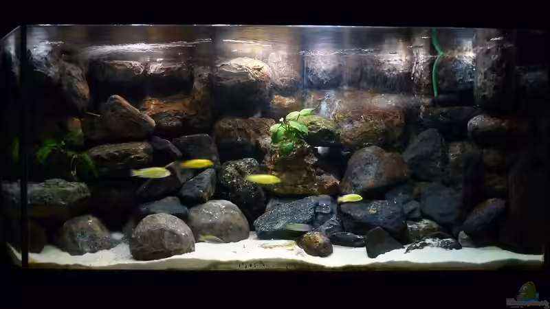 Gesamtansicht am 10.05.2013 von Der Michel (1)