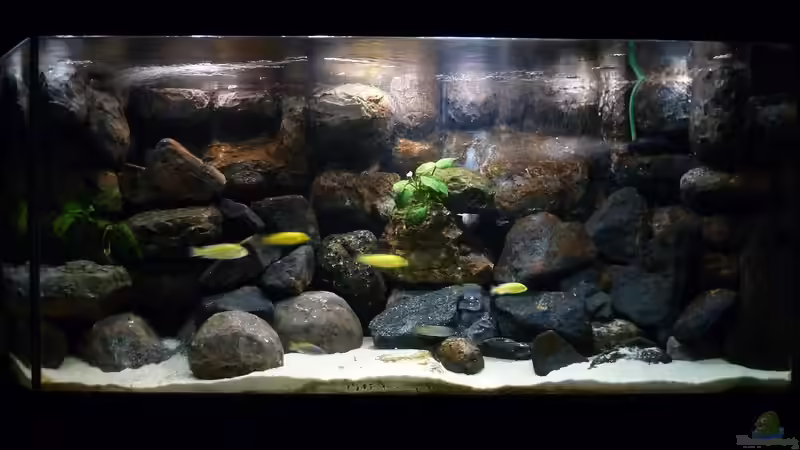 Gesamtansicht am 10.05.2013 von Der Michel (16)