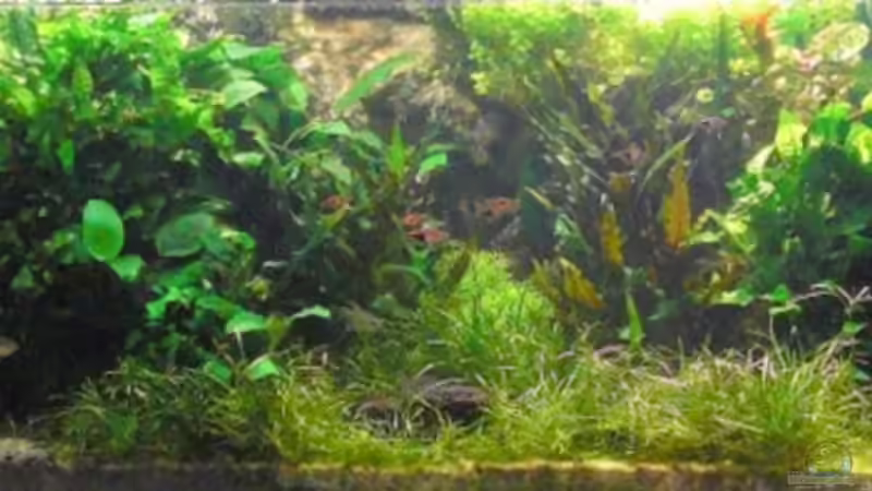 Gesamtansicht am 10.9.2009