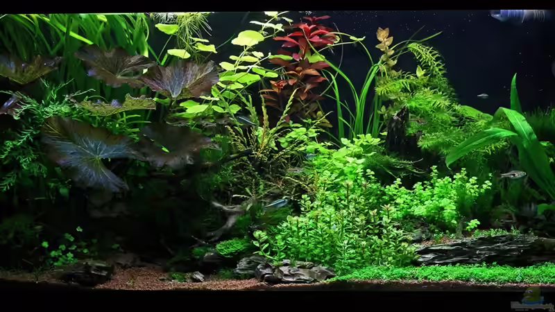 Gesamtansicht am 17-05-2013 von Dirk F. (4)