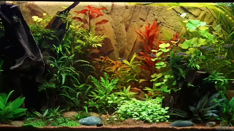 Gesamtansicht am 23-08-2012 von Dirk F. (4)