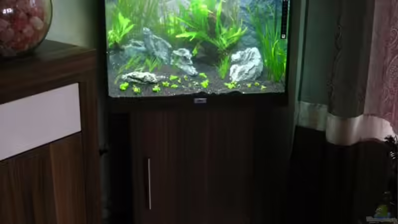 Gesamtansicht am 24.12.2010 von Sergio10 (7)