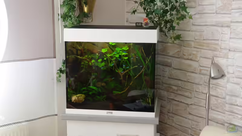 Gesamtansicht am 29.03.2014 von Herr H. (8)